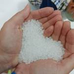 Fadianto Lim Profile Picture